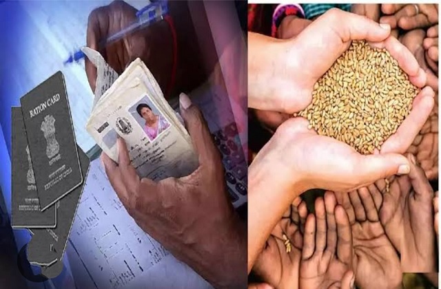 2023_10image_11_55_195128342wheat