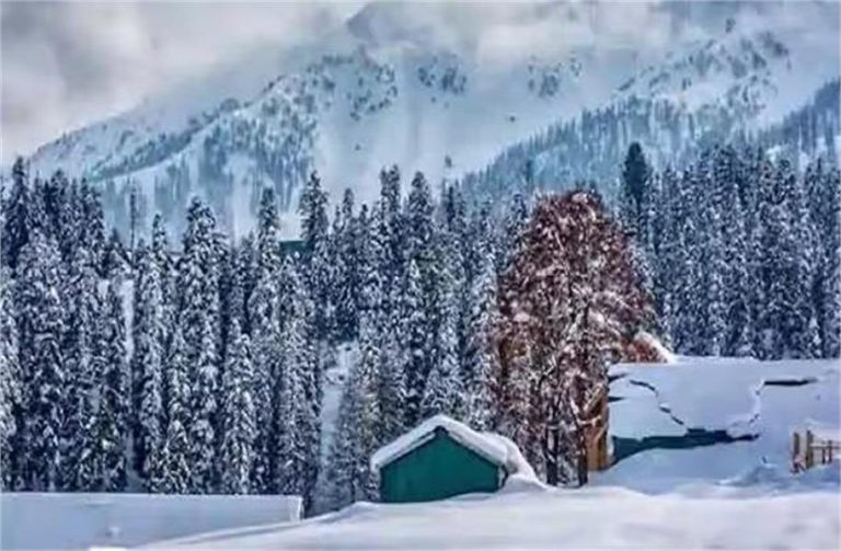 बर्फ की सफेद चादर से ढकी Kashmir घाटी, ठंड ने तोड़े सारे रिकॉर्ड