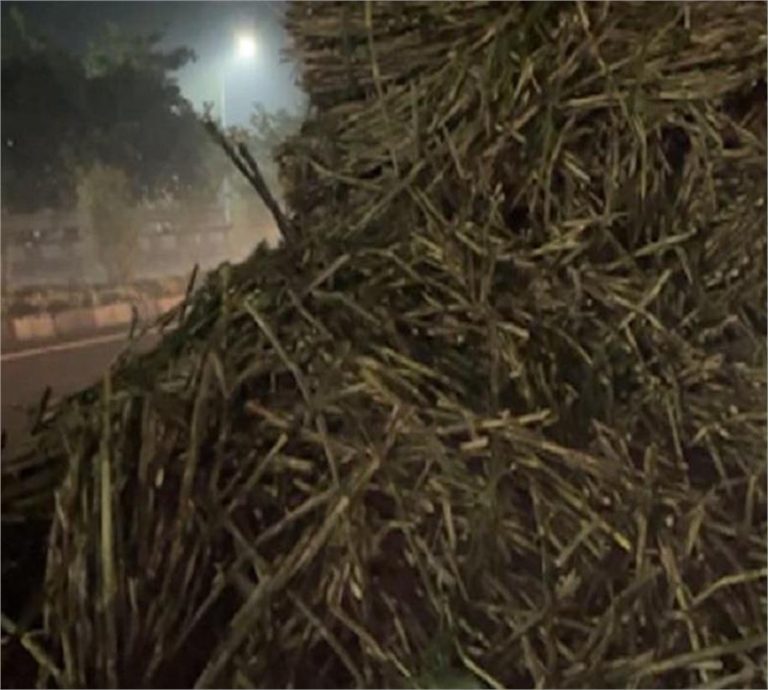 पंजाब के National Highway पर भयानक बना मंजर, बिछ गई लाशें…