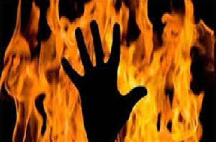 2025_1image_12_30_2722455841-ll