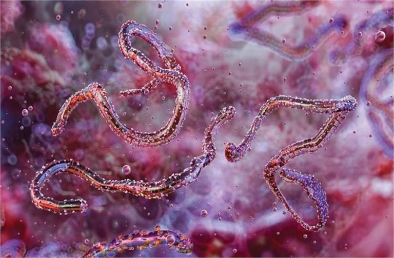 कोरोना के बाद HMPV का खतरा, जानें दुनिया के 10 सबसे खतरनाक वायरस कौन से हैं?