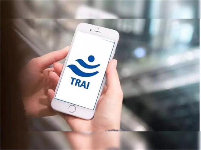 2025_1image_13_38_084534811trai-ll