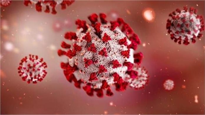 2025_1image_14_16_040119315hmpvvirus-ll