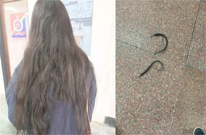 2025_1image_14_30_219093086baal-ll