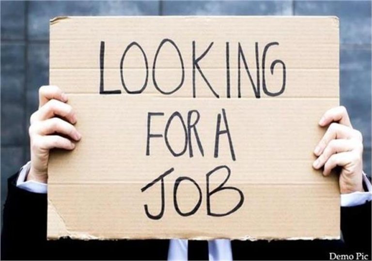 युवाओं को तोहफा! हरियाणा में बेरोजगार युवा बनाए जाएंगे ठेकेदार…इस योजना का उठाएं लाभ