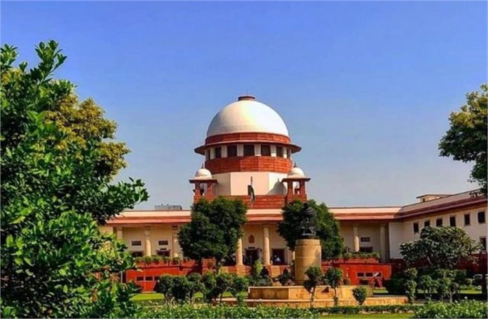 2025_2image_02_20_19565965700-ll