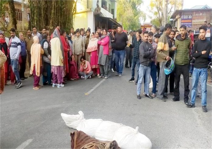 2025_2image_11_11_093415967body-ll