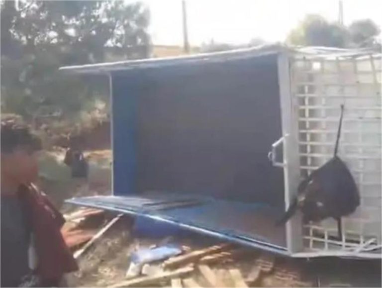 शहडोल से निवास जा रही बिना नंबर की पिकअप पलटी, एक की मौत