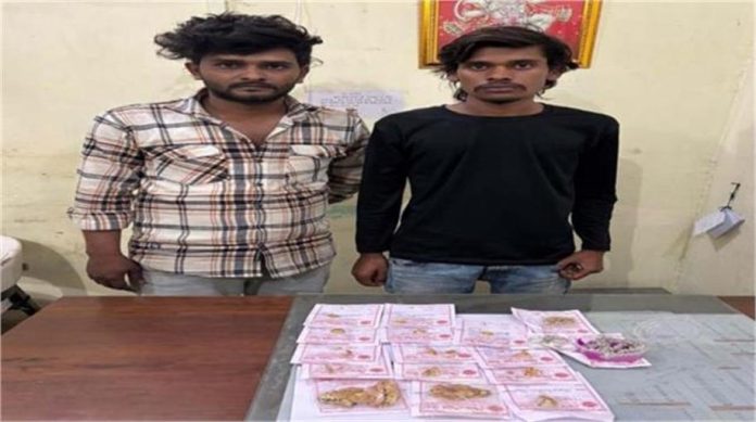 2025_2image_11_24_149181128lipikn-ll