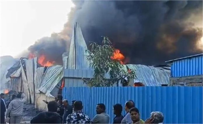 2025_2image_11_31_325147770jilonnnl-ll