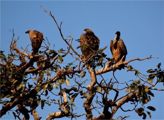 2025_2image_11_36_347396897ghiddh-ll