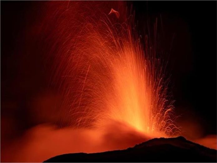 2025_2image_12_37_487612424jwala-ll