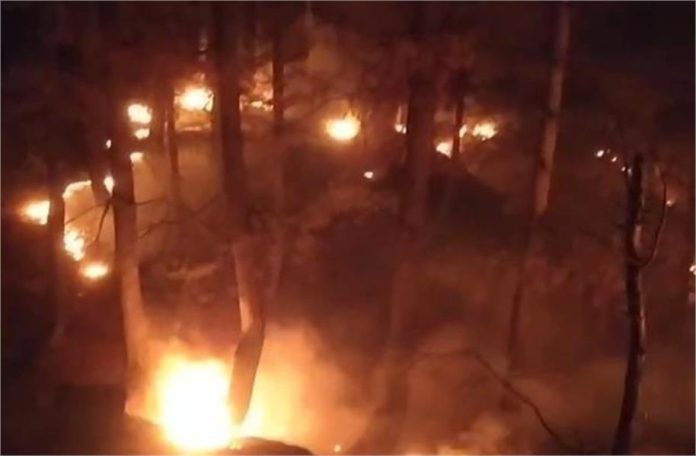 2025_2image_12_41_059919535terribleforestfireinhan-ll