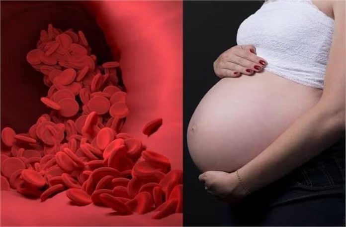 2025_2image_14_03_071937979preg-ll