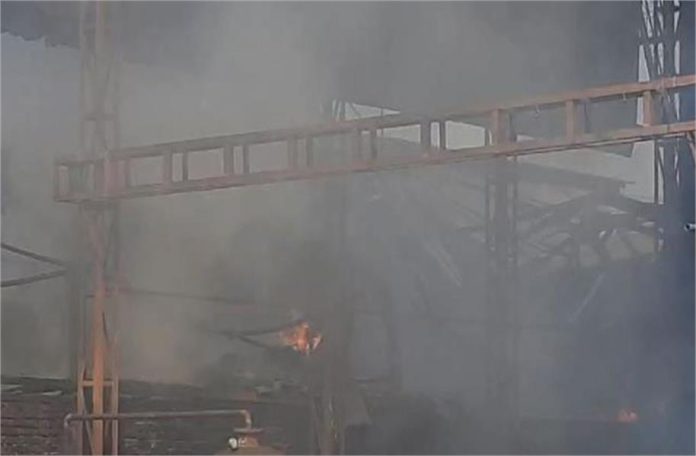 2025_2image_15_26_421695285gannaur1-ll