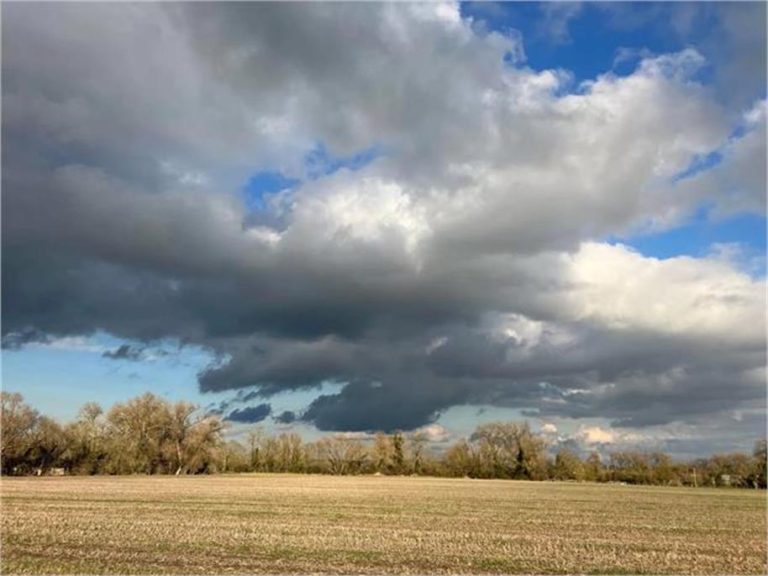 IMD ने जारी किया अलर्ट, फरवरी में तापमान बढ़ने से बढ़ सकती है परेशानी