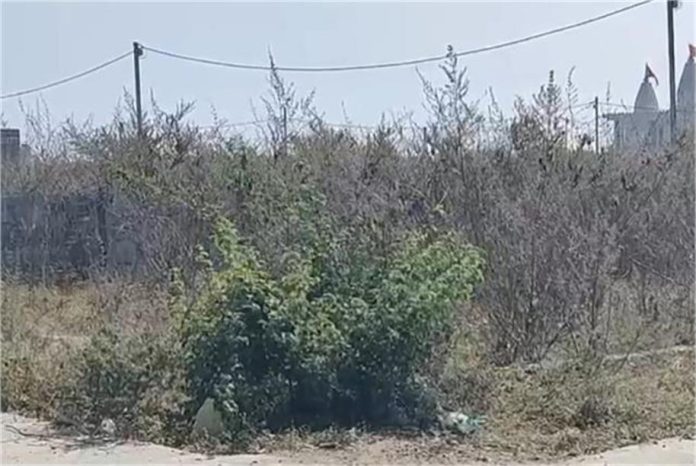 2025_2image_22_38_337886951medan-ll