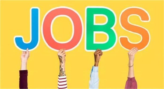 2024_12image_15_49_351672289jobs-ll