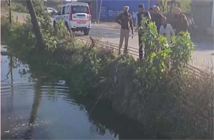 2025_3image_10_41_110009742crime-ll