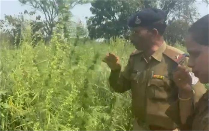 2025_3image_11_13_442173321kshsnmmk-ll