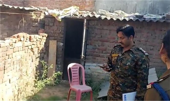 2025_3image_11_42_028476418lkipm-ll