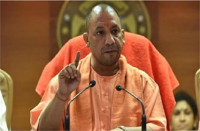 2025_3image_11_58_311935640untitled7544-ll