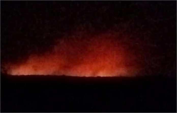 2025_3image_12_35_306784768kisnaag-ll