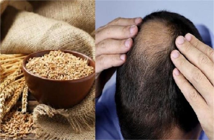 2025_3image_14_52_421642724wheathairfall-ll