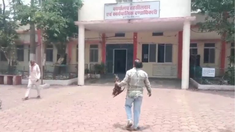 MP : MP के सरकारी दफ्तर में दिखा अजब नजारा… मरा हुआ मुर्गा लेकर पहुंच गया शख्स, लगाई ये गुहार