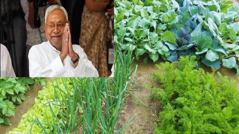 बिहार सरकार सब्जी उत्पादक किसानों की बढ़ाएगी आमदनी, सहकारिता विभाग ने की पहल
