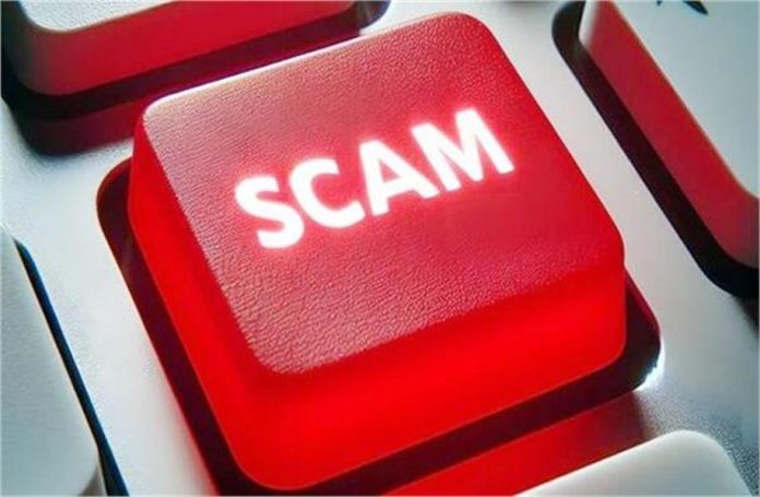 2024_8image_20_02_569779233scam-ll