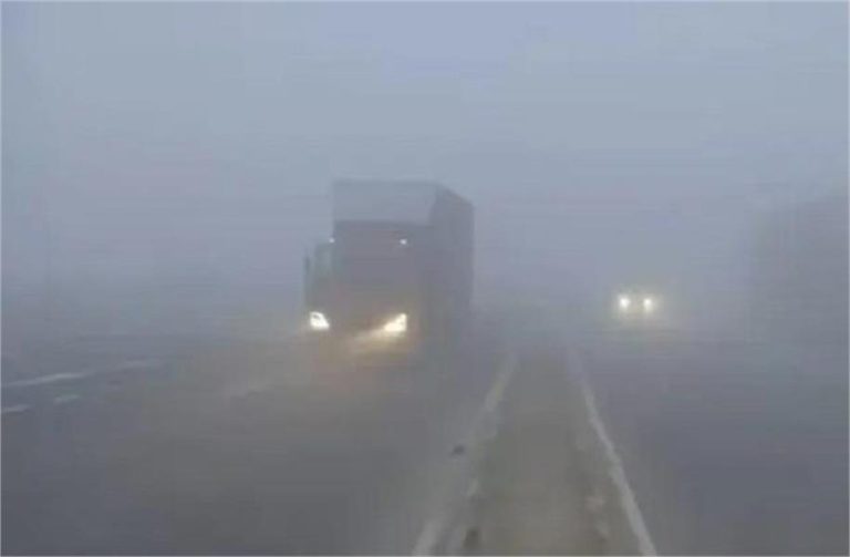 दिल्ली में घने कोहरे का कहर, 500 से अधिक उड़ानें लेट, 24 ट्रेनें प्रभावित