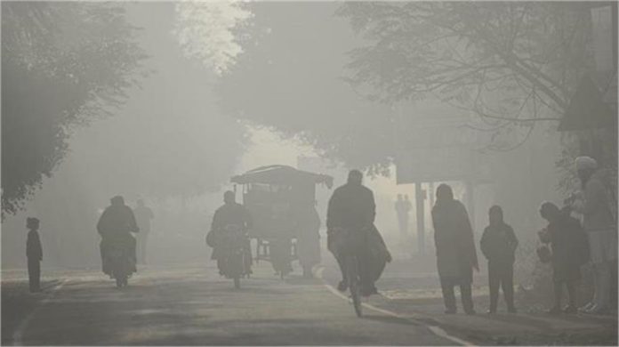 2025_1image_08_49_497708031winter-ll