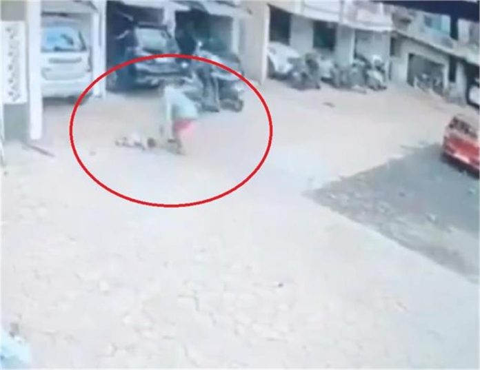 2025_1image_11_11_426326482dombivli-ll