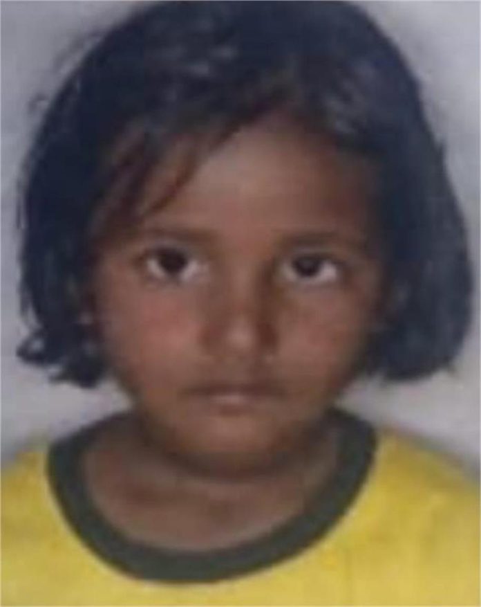 2025_1image_11_36_090723275lpoimg-ll