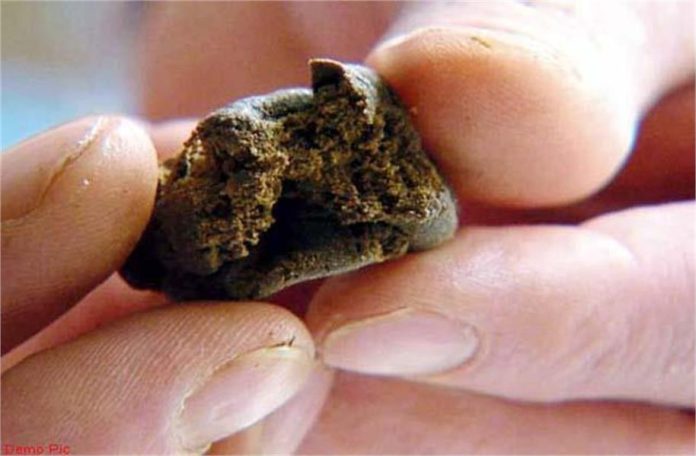 2025_1image_11_42_342555741hashishinchamba-ll