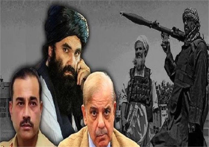 2025_1image_12_23_322537616ttp-ll