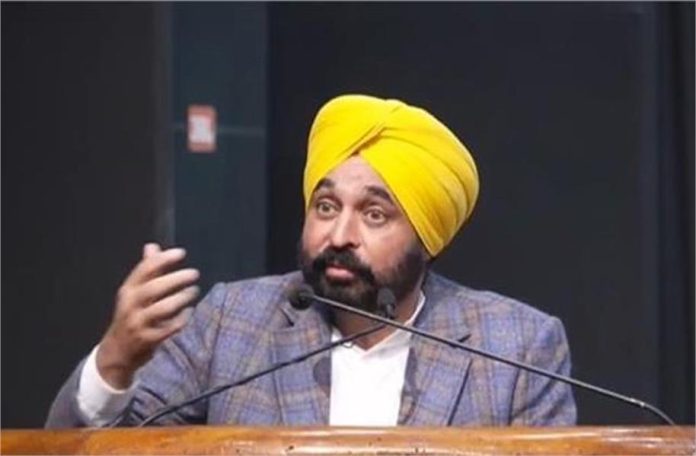 2025_1image_12_35_422758139cmmann-ll