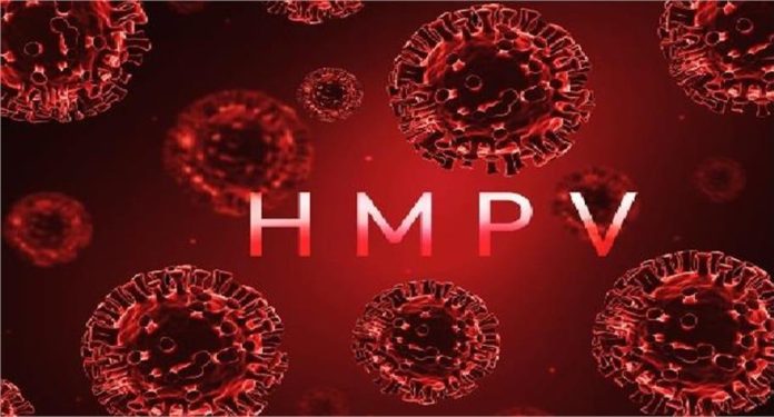 2025_1image_12_39_071861027untitled-ll