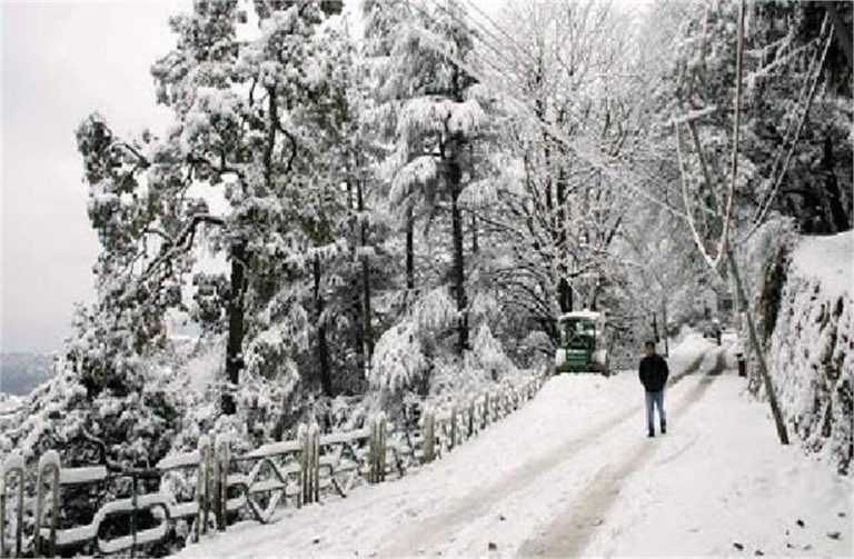 Himachal Weather: शिमला-मनाली में ठंड का कहर, घने कोहरे का भी अलर्ट