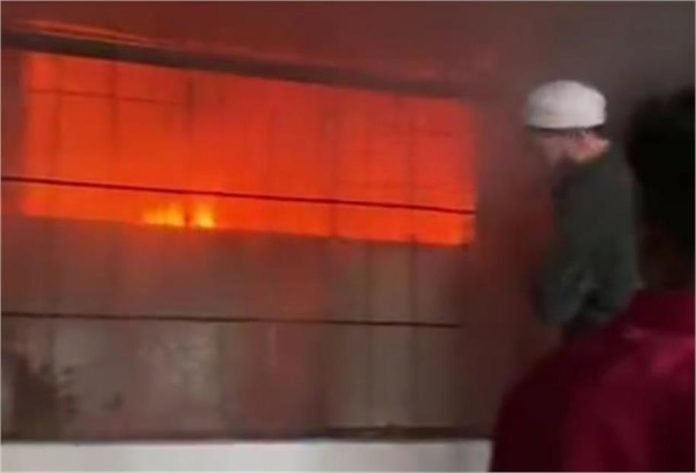 2025_1image_13_17_145408033llllmpgh-ll