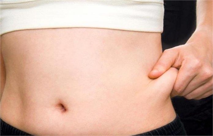 2025_1image_14_10_053126471fat-ll