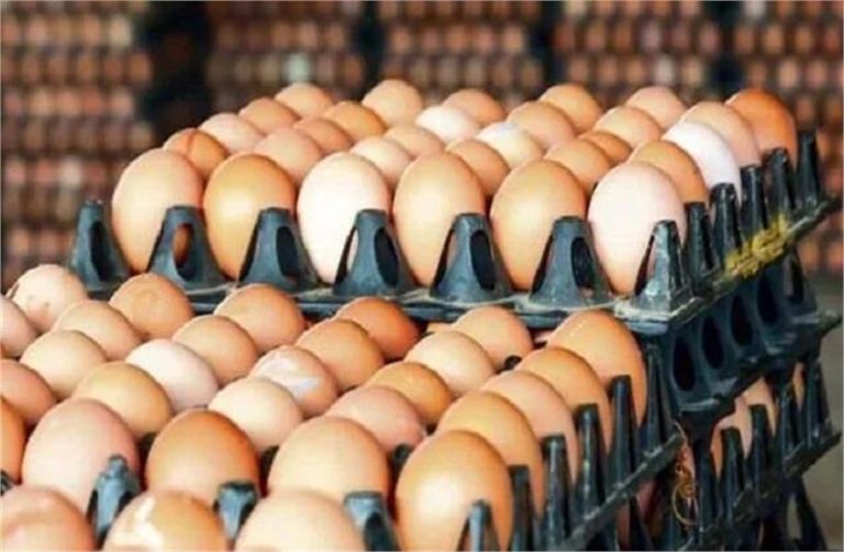 अंडों की कीमतों में भारी बढ़ोतरी, 70 फीसदी तक बढ़े दाम
