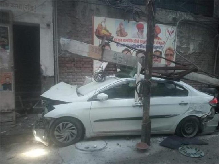 पंजाब में दिल दहला देने वाला हादसा, एक झटके में गई 4 बेजुबानों की जान