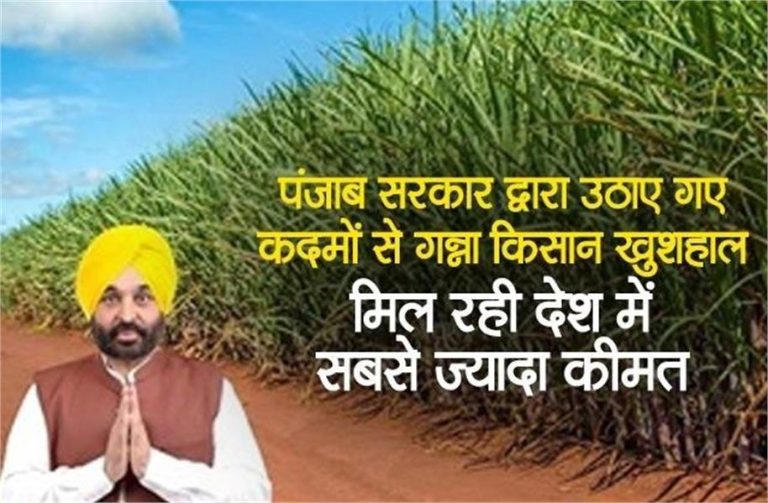 पंजाब सरकार द्वारा उठाए गए कदमों से गन्ना किसान खुशहाल, मिल रही देश में सबसे ज्यादा कीमत