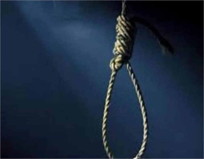 2025_1image_23_24_452674247chasii-ll