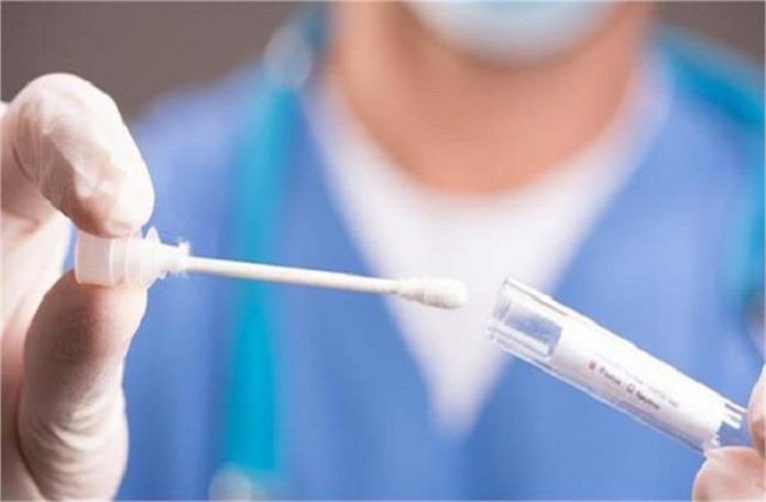 2025_2image_10_10_564484182ee-ll