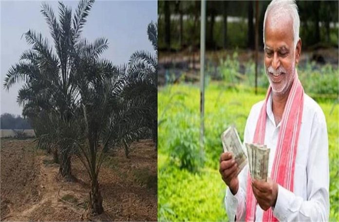 2025_2image_10_40_396725012dsf-ll