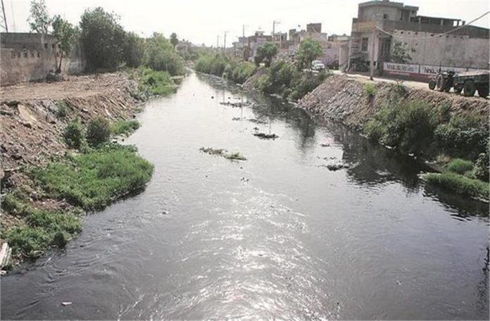 2025_2image_10_43_042061234bhudha-ll