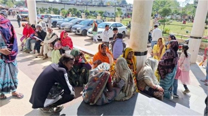 2025_2image_10_46_562682326hiplkim-ll